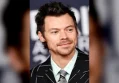 Zoë Kravitz and Harry Styles Share Matching ‘Let It Rip’ Tattoos