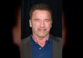 Arnold Schwarzenegger and Heather Milligan Make Rare Joint Appearance at Climate Summit