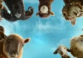 The Sheep Detectives Release Date Moves to June 24, 2026 in US Market