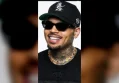 Chris Brown Ordered to Pay $13M Over Dog Attack at His California Home