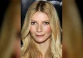 Gwyneth Paltrow Postpones Hamptons Dinner Honoring OpenAI CEO Sam Altman