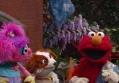 Storm on Sesame Street Release Schedule Remains Unchanged for August 2026 Debut