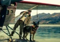 Heart of the Beast Triumphs with Prestigious Award Amidst Strong Industry Competition