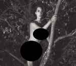Naked Tree Climber