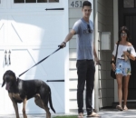 Taking Doggy for a Walk