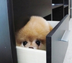 Why Not Fit In?