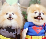 Ready to Save the World