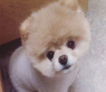That Innocent Look!