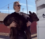Watch Joaquin Phoenix Spar With Slaughterhouse CEO to Rescue a Cow and Her Calf