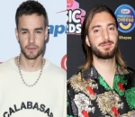  Liam Payne Asks DJ Alesso to 'Fill In' for Zayn Malik During One Direction's 10 Year Reunion