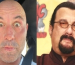 Joe Rogan Admits to Sharing Fake News About Steven Seagal Joining Russian Forces, Calls It 'Parody'