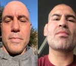 Joe Rogan Defends Cain Velasquez After Arrest for Attempted Murder: I Wish He Beat Him to Death