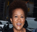 Wanda Sykes Almost Got a Fan Killed With Her Joke