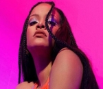 Rihanna's Driver Falls Victim to Car Thieves Outside Her House