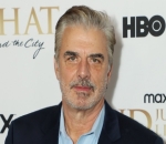 Chris Noth Shuts Down Sexual Assault Accusations as He Deems His Infidelity 'Isn't a Crime'