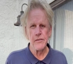 Gary Busey Accused of Hit-and-Run 