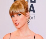 Taylor Swift Under Fire From Environmentalist Over Her Extensive Use of Private Jet 