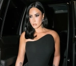 Demi Lovato Finds 'Light' After Five In-Patient Mental Health Treatments