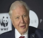 David Attenborough Rallies Against AI, 'Profoundly Disturbed' by Clone of His Voice