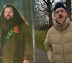 'Harry Potter' Series Finds its Hagrid in Nick Frost