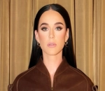 Katy Perry Laments Being Made to Feel Like 'Human Pinata' Amidst Backlash Over Space Trip