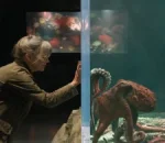 Netflix’s Remarkably Bright Creatures Trailer Stars Sally Field in New Mystery