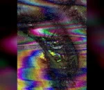 Pierre Salvadori’s The Electric Kiss to Open 79th Cannes Festival