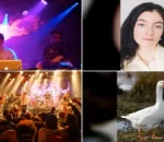 FORM Arcosanti Announces 2026 Festival Featuring Disclosure, Lorde & More
