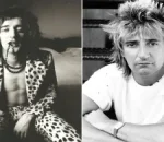 How to Watch Forever Young A Grammy Salute to Rod Stewart Live Online