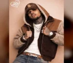 Chris Brown Earns Honorary Doctorate Celebrating His Artistic Impact
