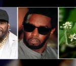 50 Cent Reacts Unexpectedly to Diddy’s Leaked Sex Tape with Daphne Joy