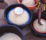 The Absorption Method for Fluffy Rice Every Time