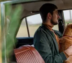 Traveling with Pets: What No One Tells You About Road Trips