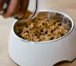 What Your Pet's Food Label Isn't Telling You