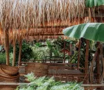 How to Plan a Green Vacation Without Sacrificing Fun