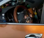 Seat Covers That Survive Kids and Pets: What Actually Works