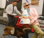 Jackass: Best and Last Hits Blu-ray and DVD on October 6th