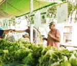 How to Haggle at Markets Abroad Without Being a Jerk