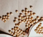 Plant Based Protein Sources That Actually Keep You Full