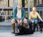 Senior Pet Care Guide: What Changes After Age 7