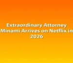Extraordinary Attorney Minami Arrives on Netflix in 2026