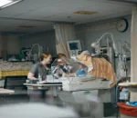 Amanda Shires Hosts Nashville Premiere of ETSU Documentary NURSE: Empathy Heals
