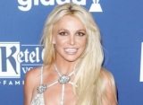 Britney Spears' Lawyer Demands for Increase in Salary