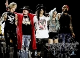 Guns N' Roses Accuse Colorado Brewery of Trademark Infringement Over Beer Name