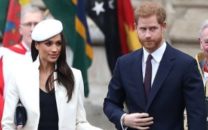 Prince Harry and Meghan Markle Want to Have Children 'Pretty Soon' After Royal Wedding