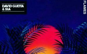 David Guetta and Sia Join Forces on Motivational Anthem 'Flames'