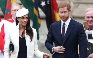 Find Out the Florist for Prince Harry and Meghan Markle's Royal Wedding