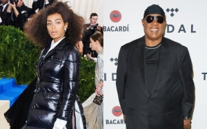 Solange Calls Stevie Wonder Her 'Spirit Guide'