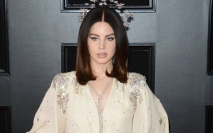 Lana Del Rey Knocked Down by Fan at Antwerp Show