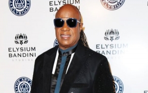 New Stevie Wonder Song to Be Featured on 'Scandal' Finale